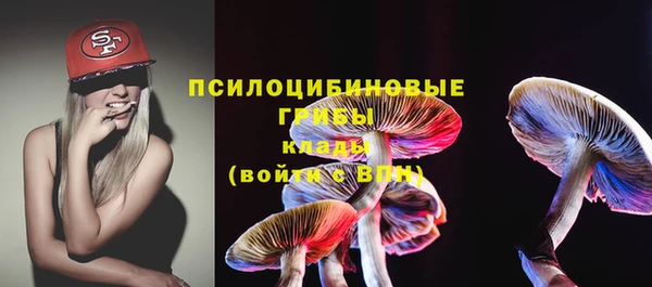mdma Бородино
