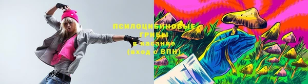 твердый Бронницы
