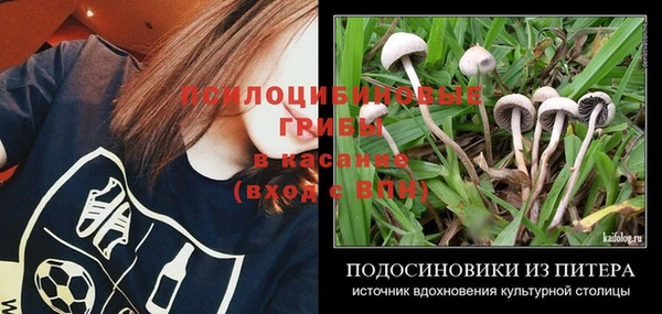 амф Бугульма