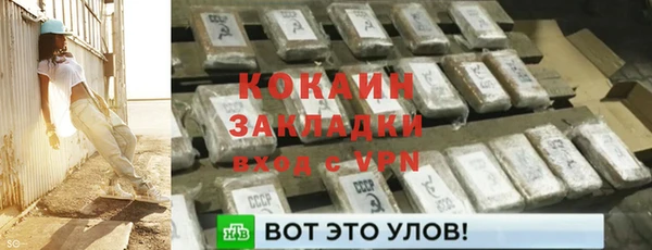 твердый Бронницы