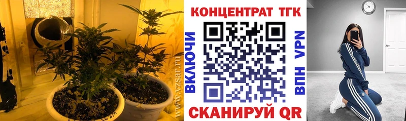 ТГК гашишное масло  наркота  Северодвинск 